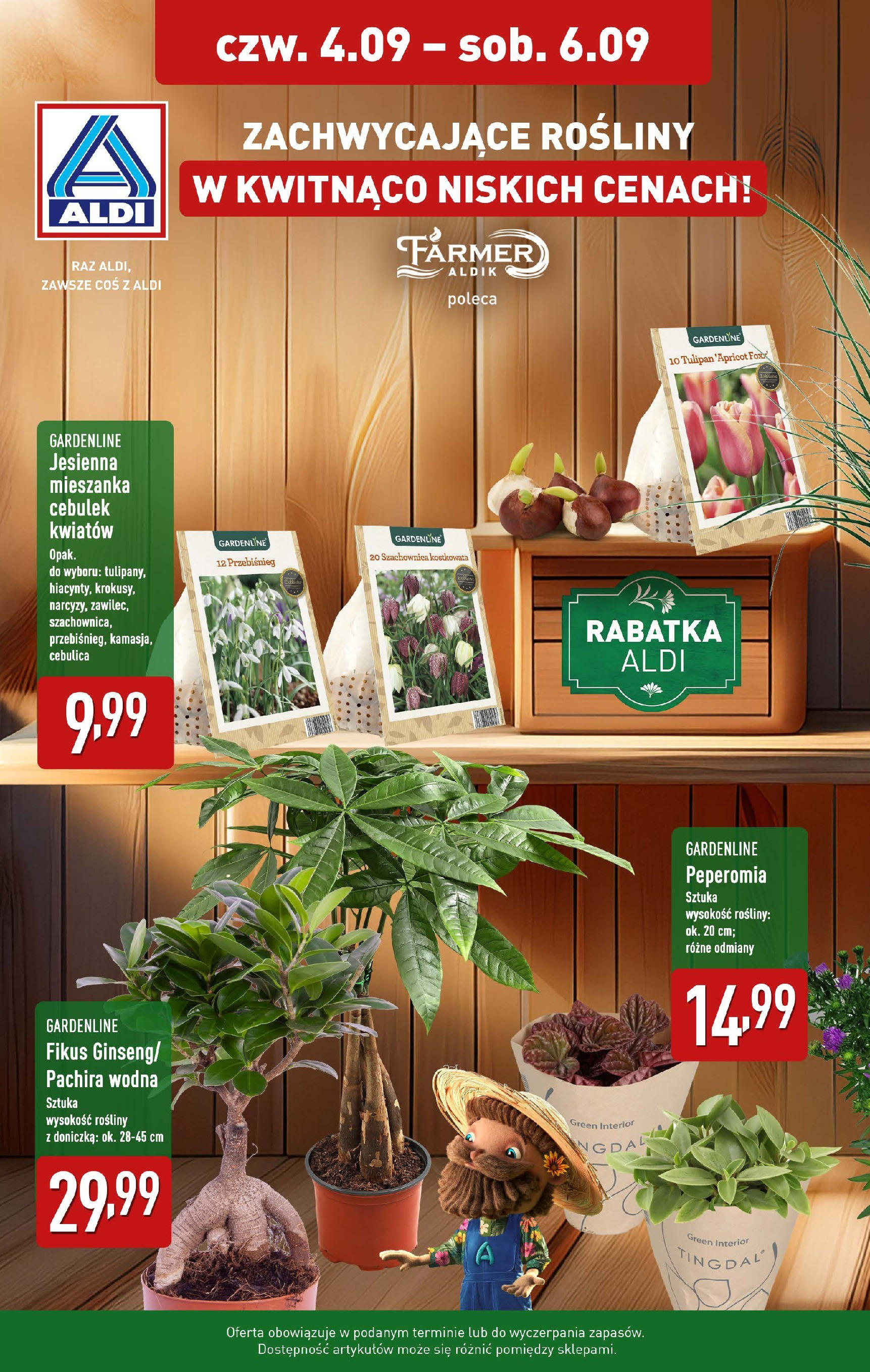 Aldi Zachwycające kwiaty od 04.09.2025 - Nowa Gazetka - Numer strony 1