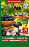 Pyszne jeżyny w ALDI