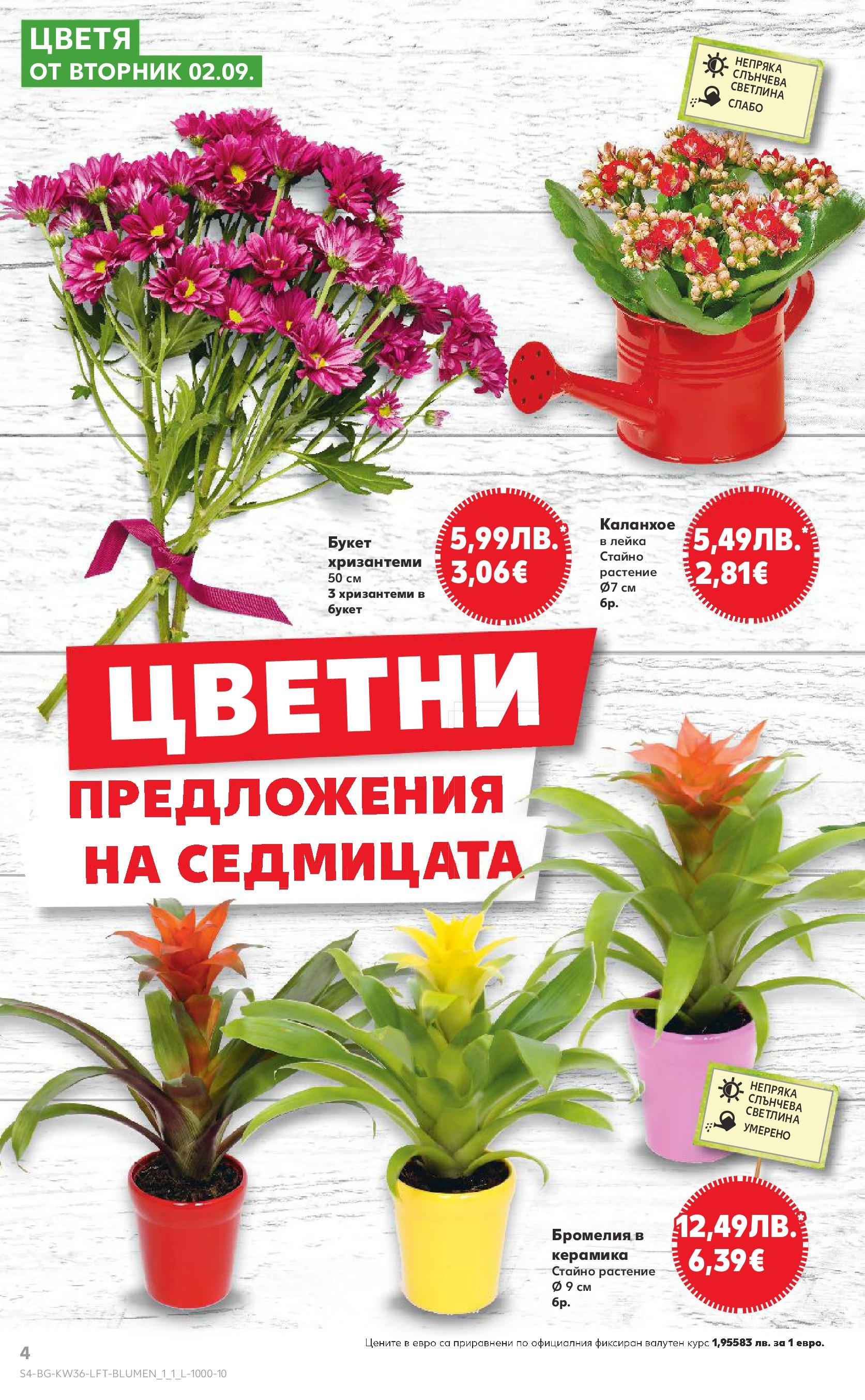 Нова Кауфланд брошура от 31.08.2025 | Страница: 4 | Продукти: Лейка Нова Кауфланд - Спестявай с мега марки в Kaufland предложения с валидност до 07.09.2025 от 31.08.2025 | Страница: 4 | Продукти: Лейка