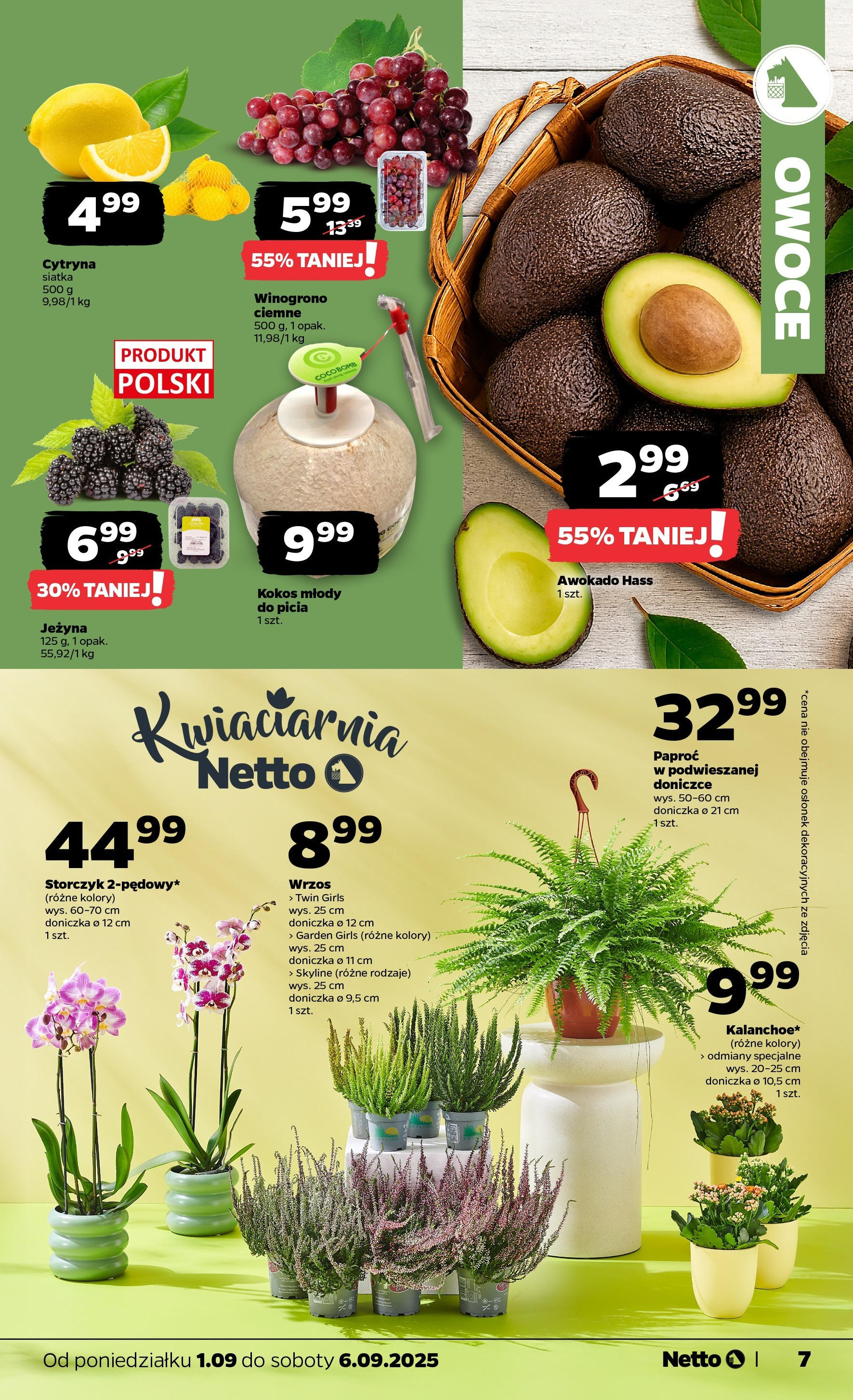 Netto gazetka - Spożywcza od 01.09.2025 | Promocje | Strona: 7 | Produkty: Winogrono, Wrzos, Awokado, Owoce Netto gazetka - Spożywcza od 01.09.2025 - Aktualne promocje | Strona: 7 | Produkty: Winogrono, Wrzos, Awokado, Owoce