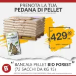 Bricocity Prenota la tua pedana di pellet - al 07.09.2025