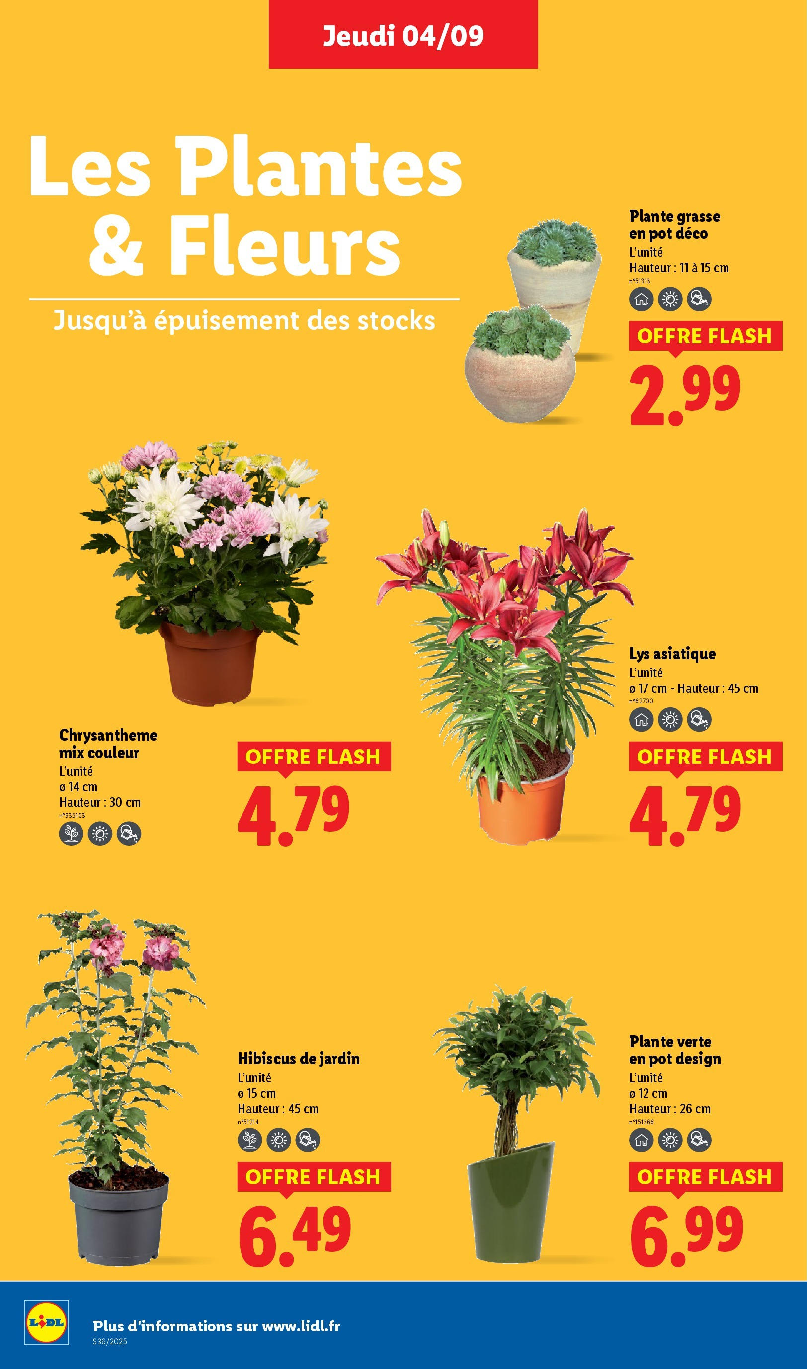 Catalogue LIDL du 03/09/2025 | Promo prospectus en ligne | Page: 30 | Produits: Plantes, Chrysanthème, Plante verte Catalogue LIDL du 03/09/2025 | Promo prospectus en ligne | Page: 30 | Produits: Plantes, Chrysanthème, Plante verte