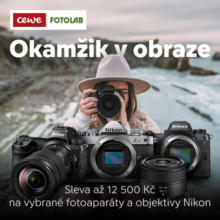 Okamžik y obraze