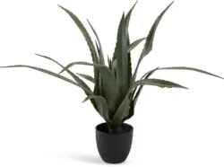 JYSK Изкуствено растение CELIUS В65 см алое вера