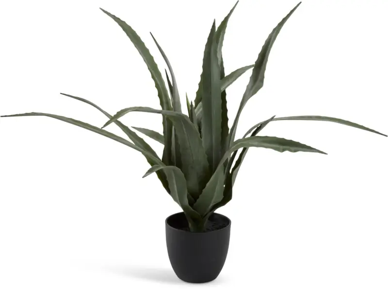 JYSK Изкуствено растение CELIUS В65 см алое вера