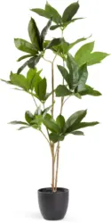 JYSK Изкуствено растение TRISTAN В90 см