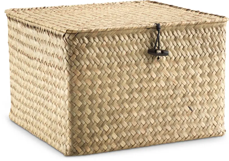 JYSK Кутия за съхранение ALVIN Ш26xД26xВ17 см морска зостера