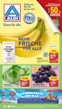 Aldi - Angebote 08.09.-13.09.2025