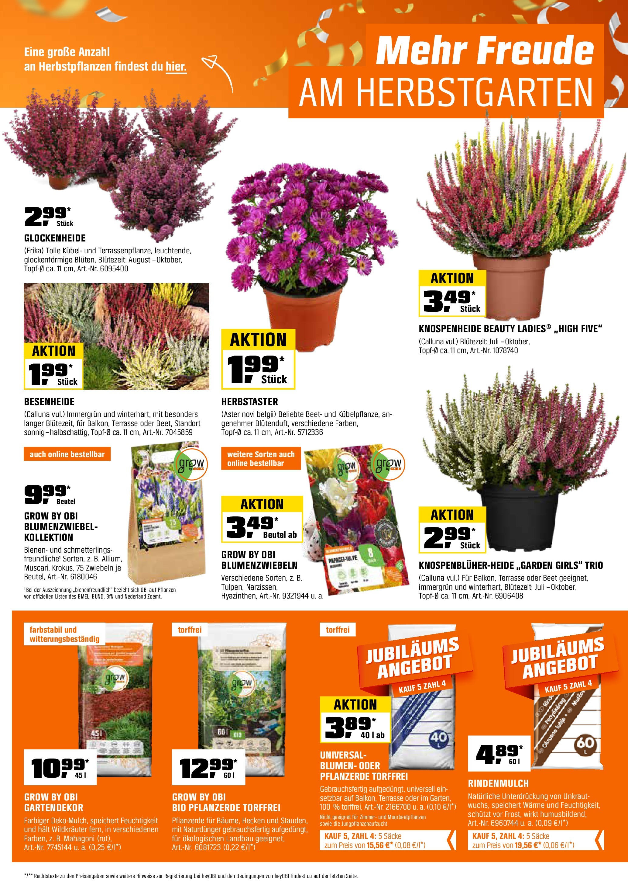 Obi Prospekt (ab 01.09.2025) zum Blättern | Seite: 7 | Produkte: Rindenmulch, Pflanzerde, Blumen, Zwiebeln Obi Prospekt (ab 01.09.2025) zum Blättern | Seite: 7 | Produkte: Rindenmulch, Pflanzerde, Blumen, Zwiebeln