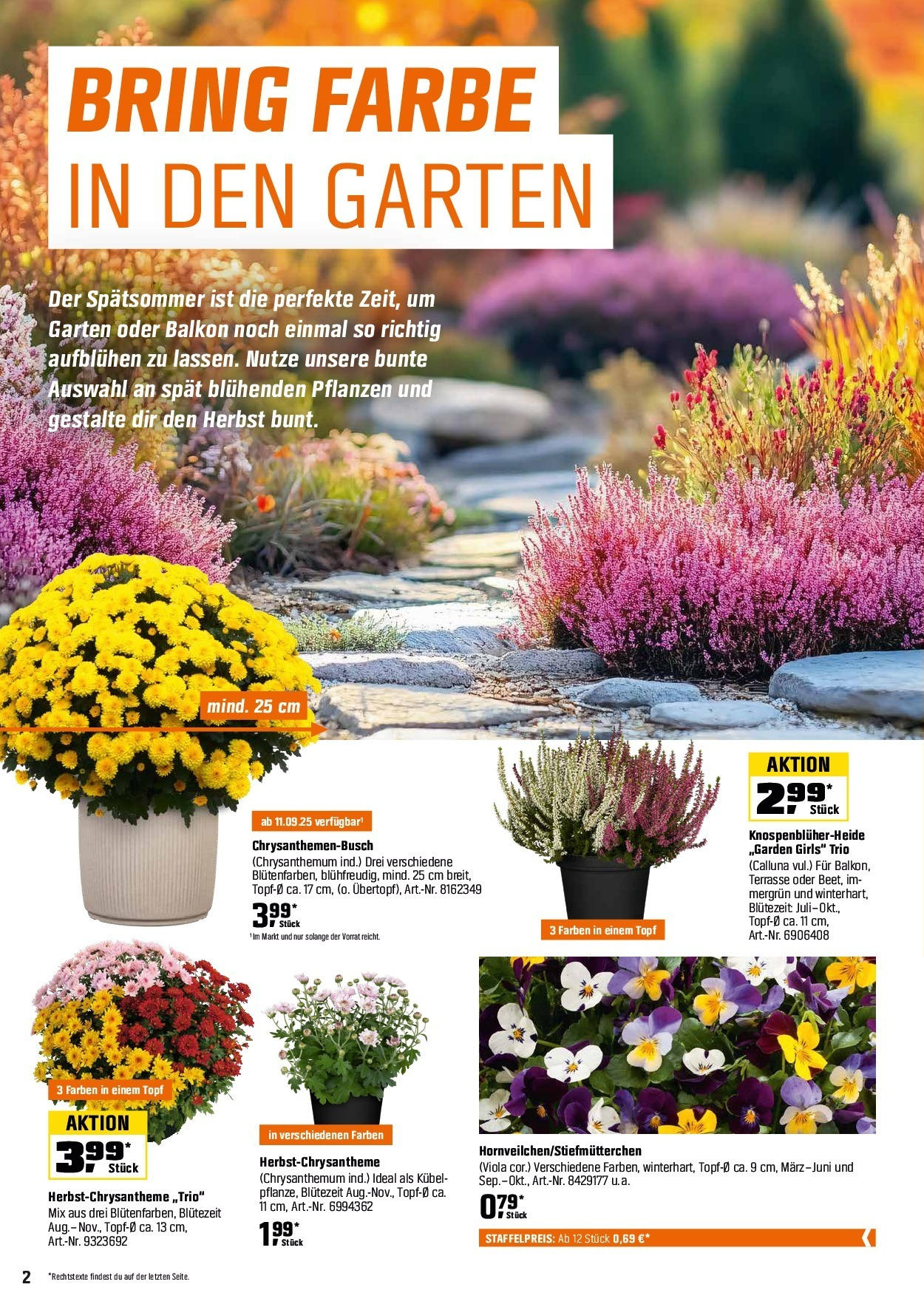 Obi Herbstgartenmagazin (ab 01.09.2025) zum Blättern | Seite: 2 Obi Herbstgartenmagazin (ab 01.09.2025) zum Blättern | Seite: 2