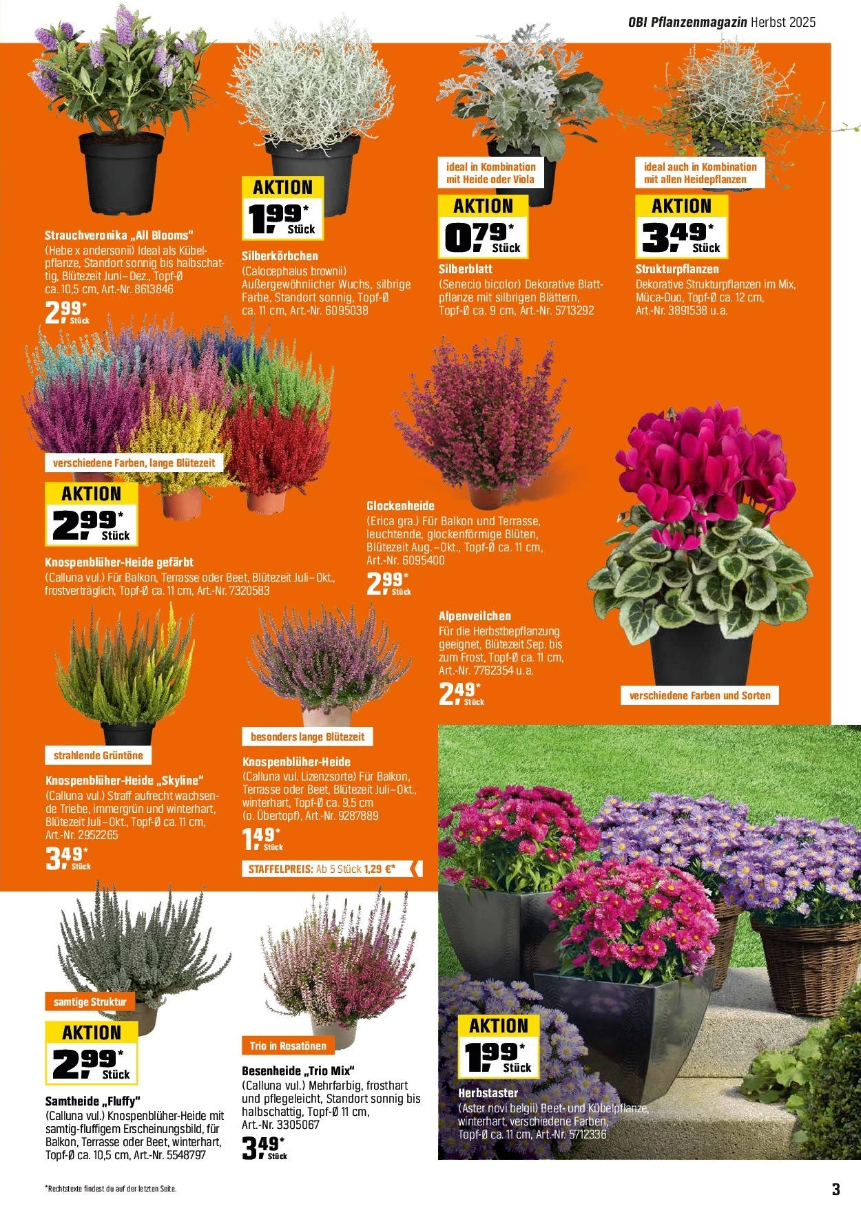 OBI: Herbstgartenmagazin von 31. August bis 18. Oktober 2025 - Prospekt seite 3