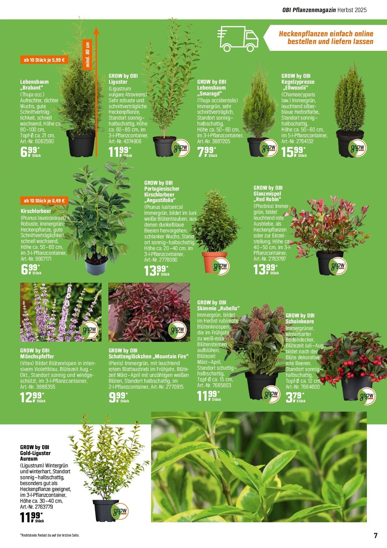 Obi Herbstgartenmagazin (ab 01.09.2025) zum Blättern | Seite: 7 Obi Herbstgartenmagazin (ab 01.09.2025) zum Blättern | Seite: 7