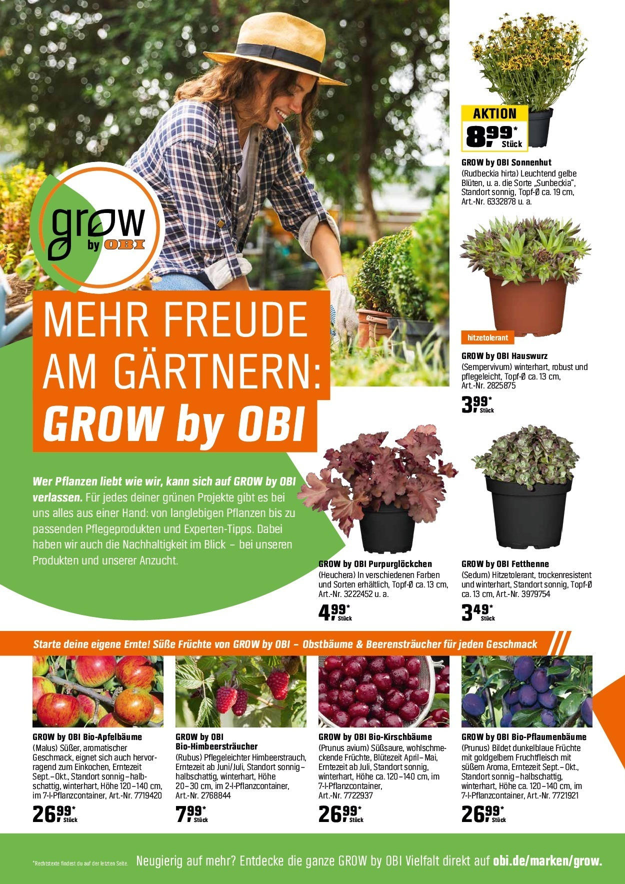 Obi Herbstgartenmagazin (ab 01.09.2025) zum Blättern | Seite: 16 Obi Herbstgartenmagazin (ab 01.09.2025) zum Blättern | Seite: 16