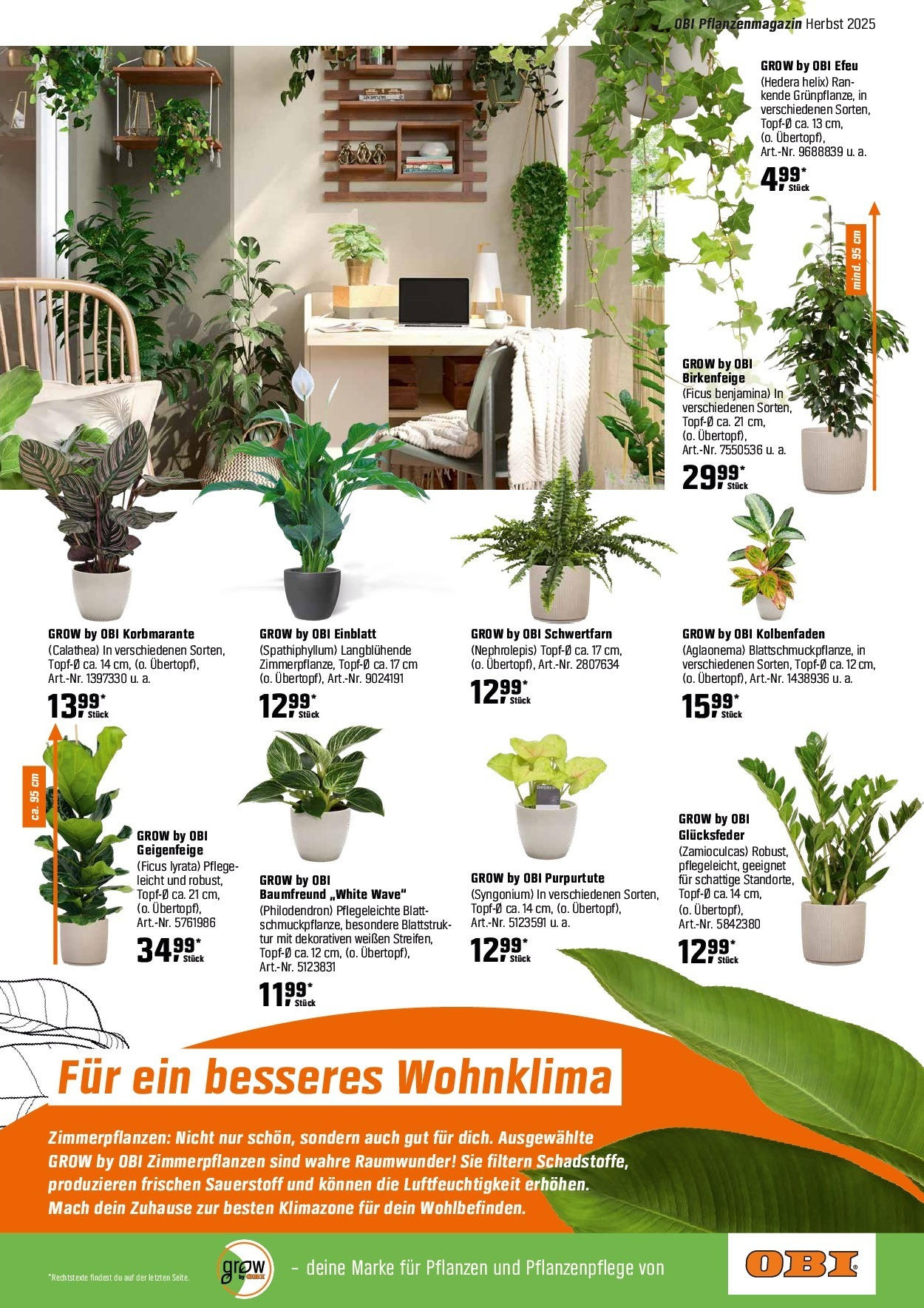 Obi Herbstgartenmagazin (ab 01.09.2025) zum Blättern | Seite: 19 | Produkte: Tür Obi Herbstgartenmagazin (ab 01.09.2025) zum Blättern | Seite: 19 | Produkte: Tür