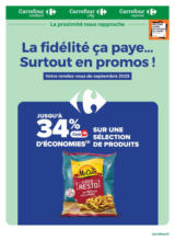 Catalogue Carrefour