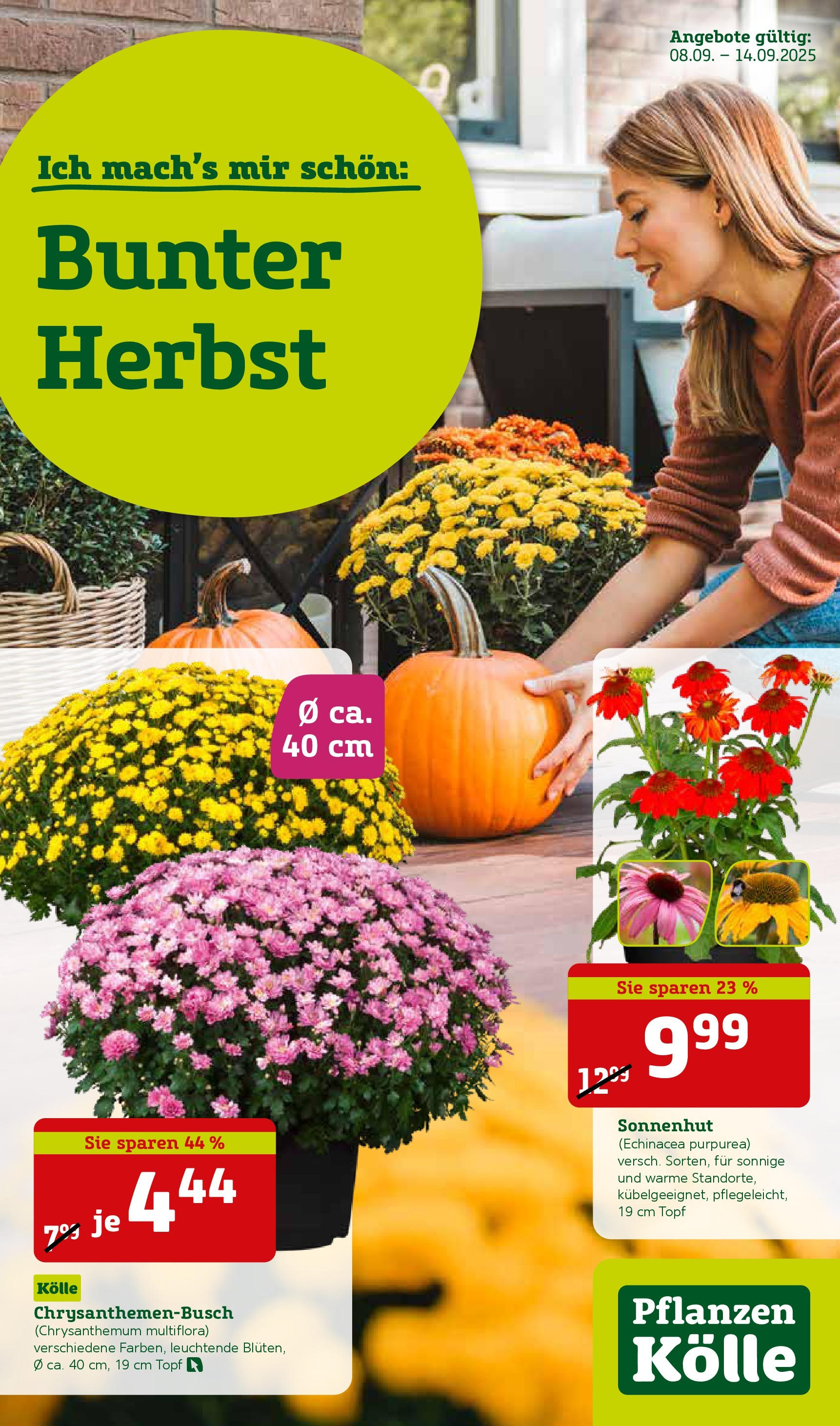 Pflanzen-Kölle - Pflanzen-Kölle: Bunter Herbst (ab 07.09.2025) zum Blättern | Seite: 1