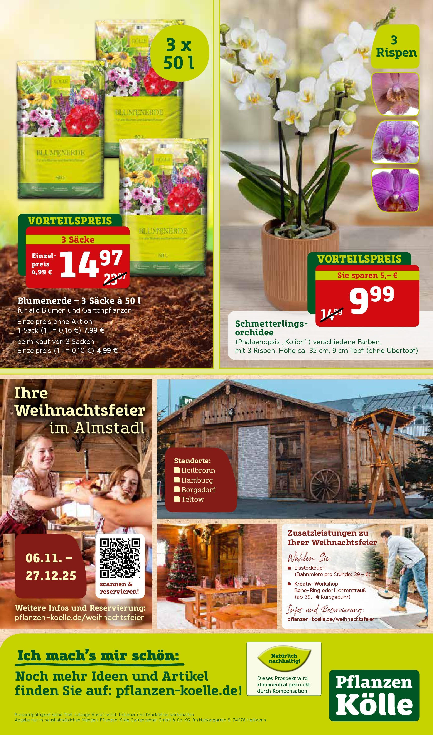 Pflanzen-Kölle - Pflanzen-Kölle: Bunter Herbst (ab 07.09.2025) zum Blättern | Seite: 12 | Produkte: Orchidee, Blumen, Blumenerde