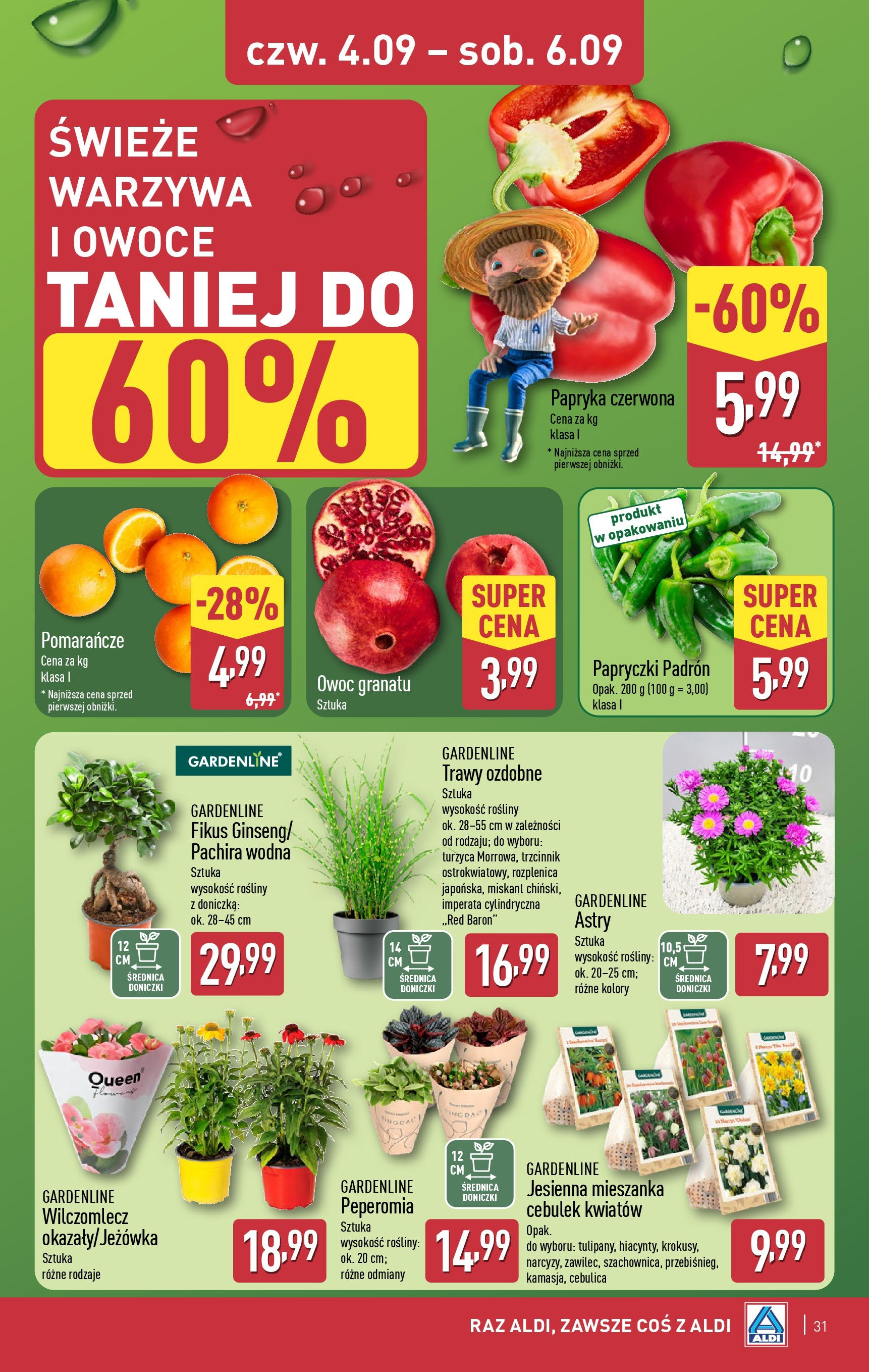 Aldi Gazetka od 01.09.2025 | Nowa PDF gazetka | Strona: 31 | Produkty: Sery, Pizza, Sok, Majonez Aldi Gazetka od 01.09.2025 - Ulotka PDF, promocje | Strona: 31 | Produkty: Sery, Pizza, Sok, Majonez