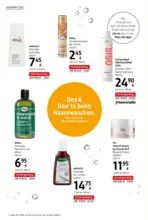 dm drogerie markt dm: Journal September 2025 - bis 08.10.2025