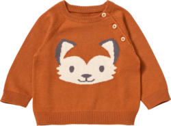 ALANA Pullover aus Strick mit Fuchs-Motiv, braun, Gr. 80