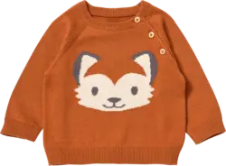ALANA Pullover aus Strick mit Fuchs-Motiv, braun, Gr. 80