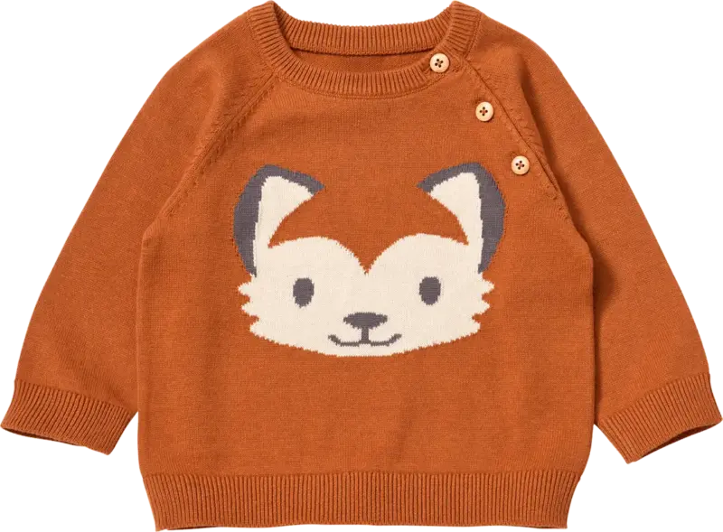 ALANA Pullover aus Strick mit Fuchs-Motiv, braun, Gr. 80