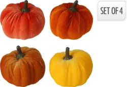 Dekorieren & Einrichten Streudeko, Samtkürbisse