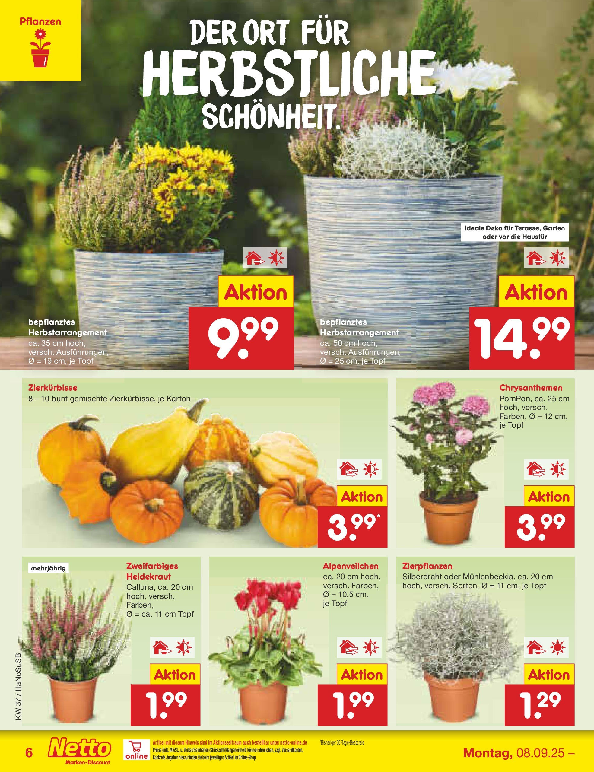 Netto Marken-Discount prospekt Wuppertal (ab 07.09.2025) » Angebote | Seite: 6 Netto Marken-Discount prospekt Wuppertal (ab 07.09.2025) » Angebote | Seite: 6