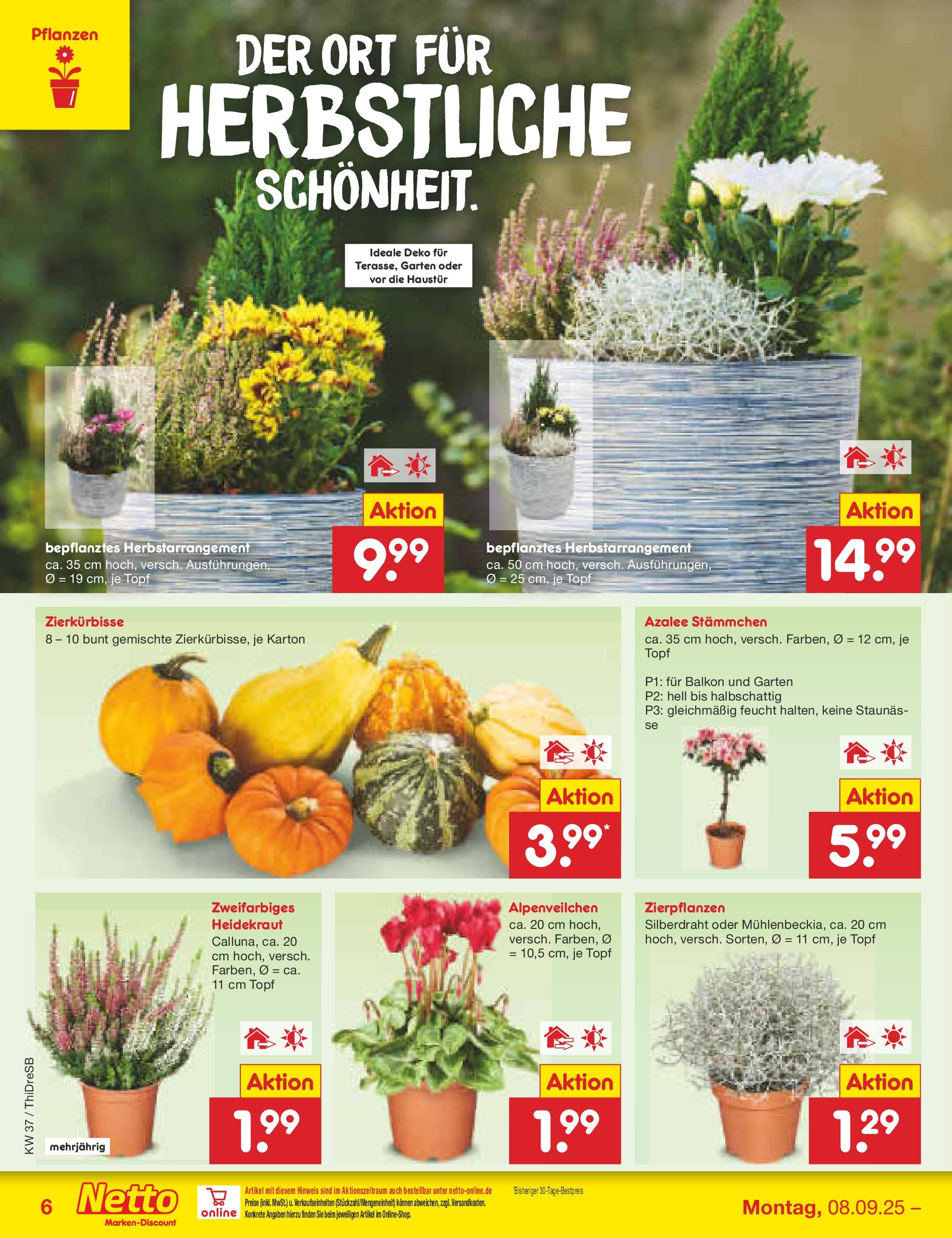 Netto Marken-Discount prospekt Dresden	 (ab 07.09.2025) » Angebote | Seite: 6