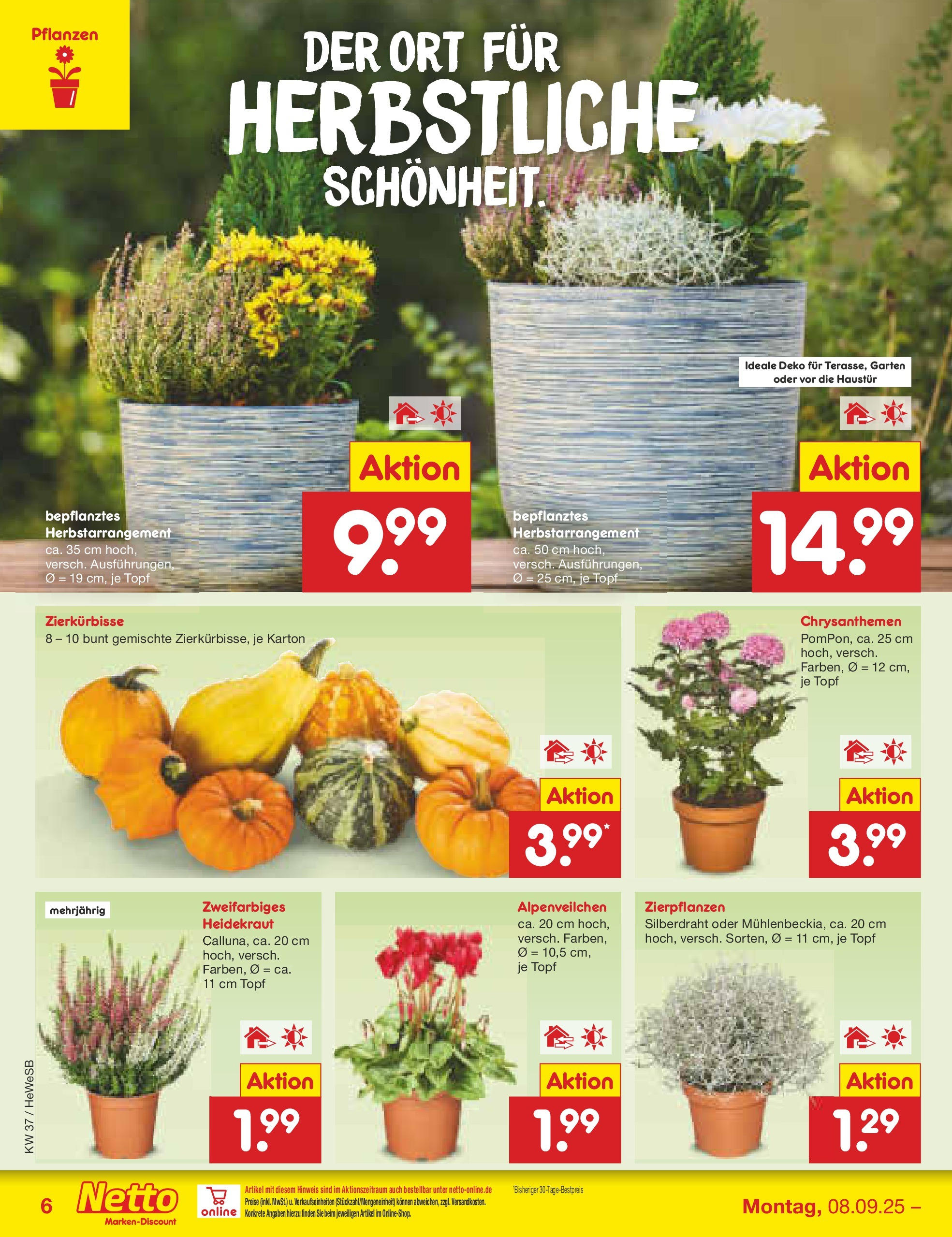 Netto Marken-Discount prospekt Brietlingen (ab 07.09.2025) » Angebote | Seite: 6 Netto Marken-Discount prospekt Brietlingen (ab 07.09.2025) » Angebote | Seite: 6