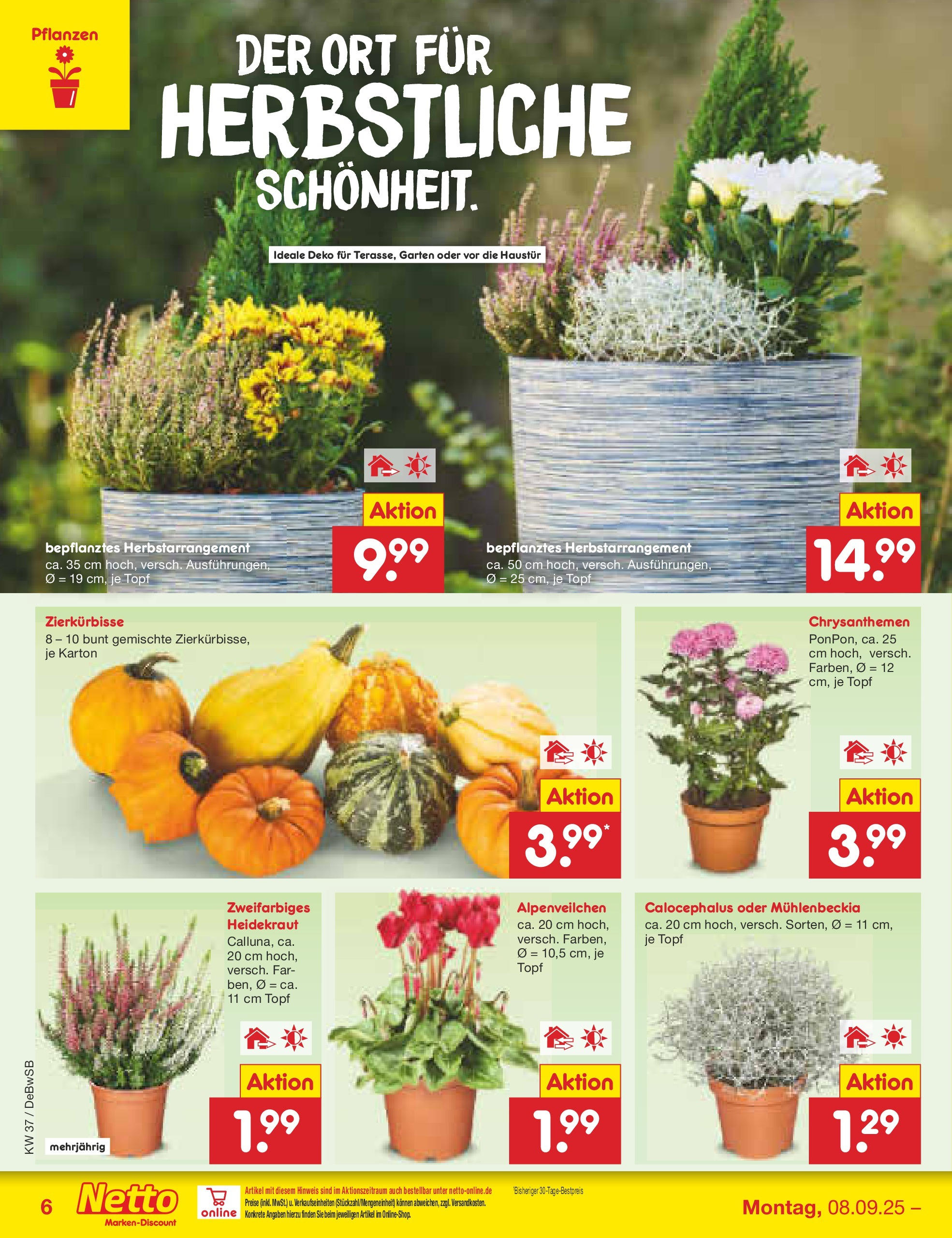 Netto Marken-Discount prospekt Waiblingen-Bittenfeld (ab 08.09.2025) » Angebote | Seite: 6 Netto Marken-Discount prospekt Waiblingen-Bittenfeld (ab 08.09.2025) » Angebote | Seite: 6