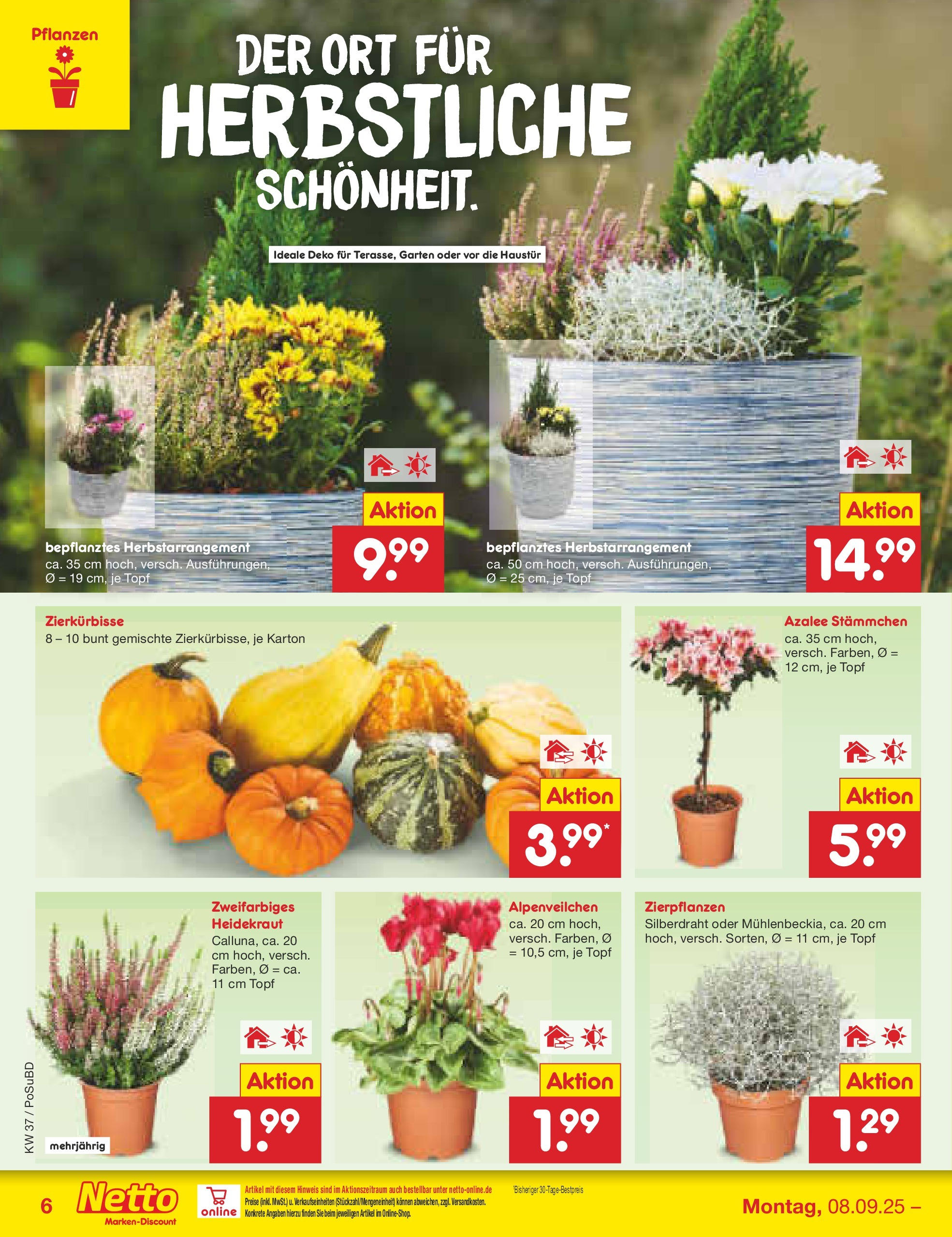Netto Marken-Discount prospekt Regensburg (ab 08.09.2025) » Angebote | Seite: 6 Netto Marken-Discount prospekt Regensburg (ab 08.09.2025) » Angebote | Seite: 6