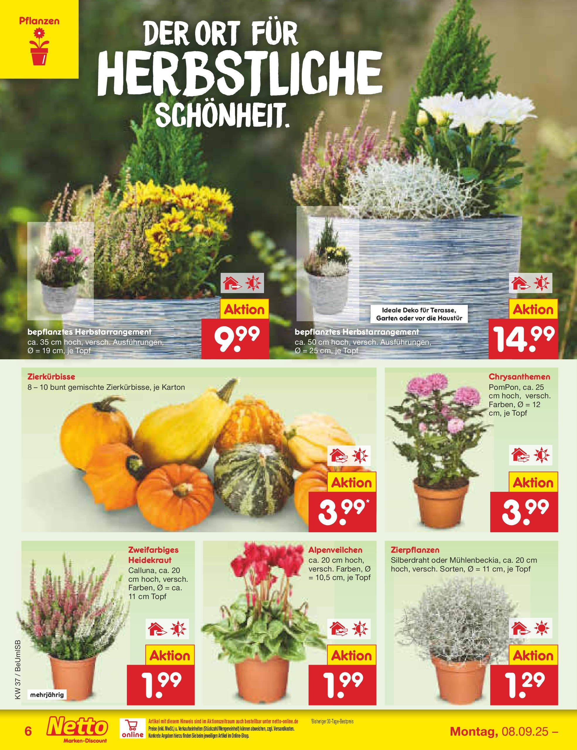 Netto Marken-Discount prospekt Kremmen (ab 07.09.2025) » Angebote | Seite: 6 Netto Marken-Discount prospekt Kremmen (ab 07.09.2025) » Angebote | Seite: 6