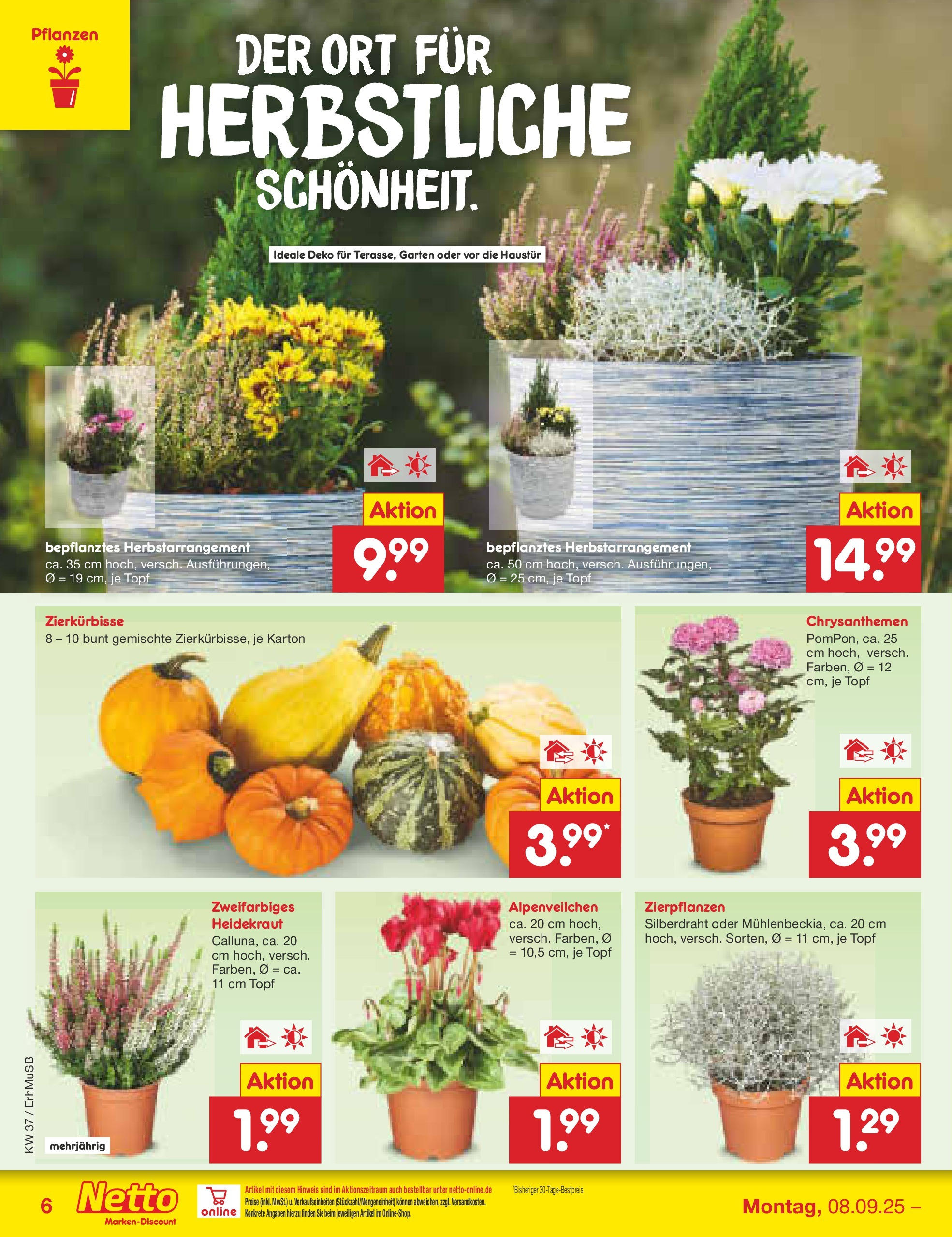 Netto Marken-Discount prospekt München (ab 08.09.2025) » Angebote | Seite: 6 Netto Marken-Discount prospekt München (ab 08.09.2025) » Angebote | Seite: 6
