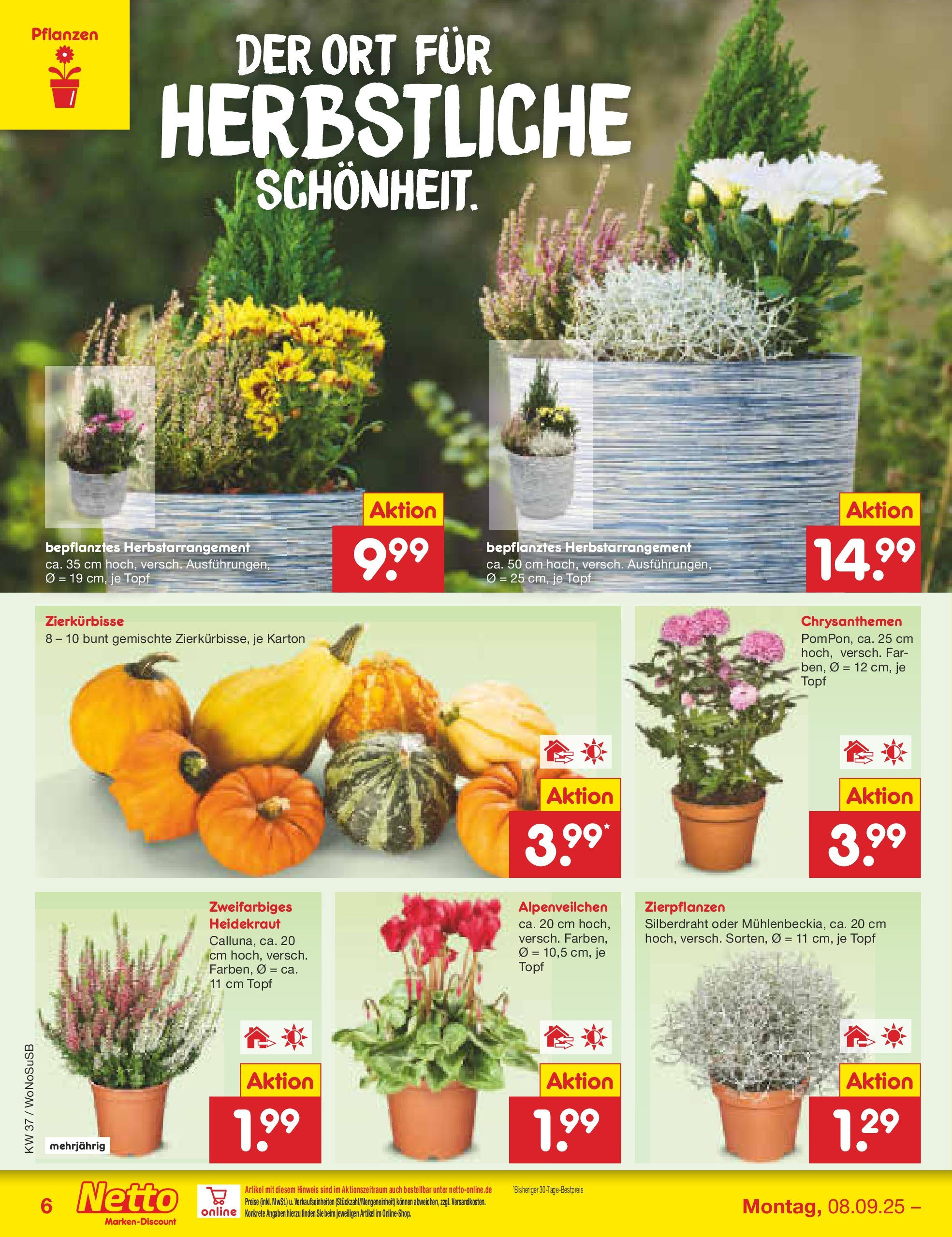 Netto Marken-Discount prospekt Mannheim (ab 07.09.2025) » Angebote | Seite: 6 Netto Marken-Discount prospekt Mannheim (ab 07.09.2025) » Angebote | Seite: 6