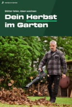 Lidl Lidl: Parkside Herbst 2025 - bis 20.09.2025