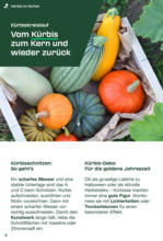 Lidl Lidl: Parkside Herbst 2025 - bis 20.09.2025