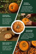Lidl Lidl: Parkside Herbst 2025 - bis 20.09.2025