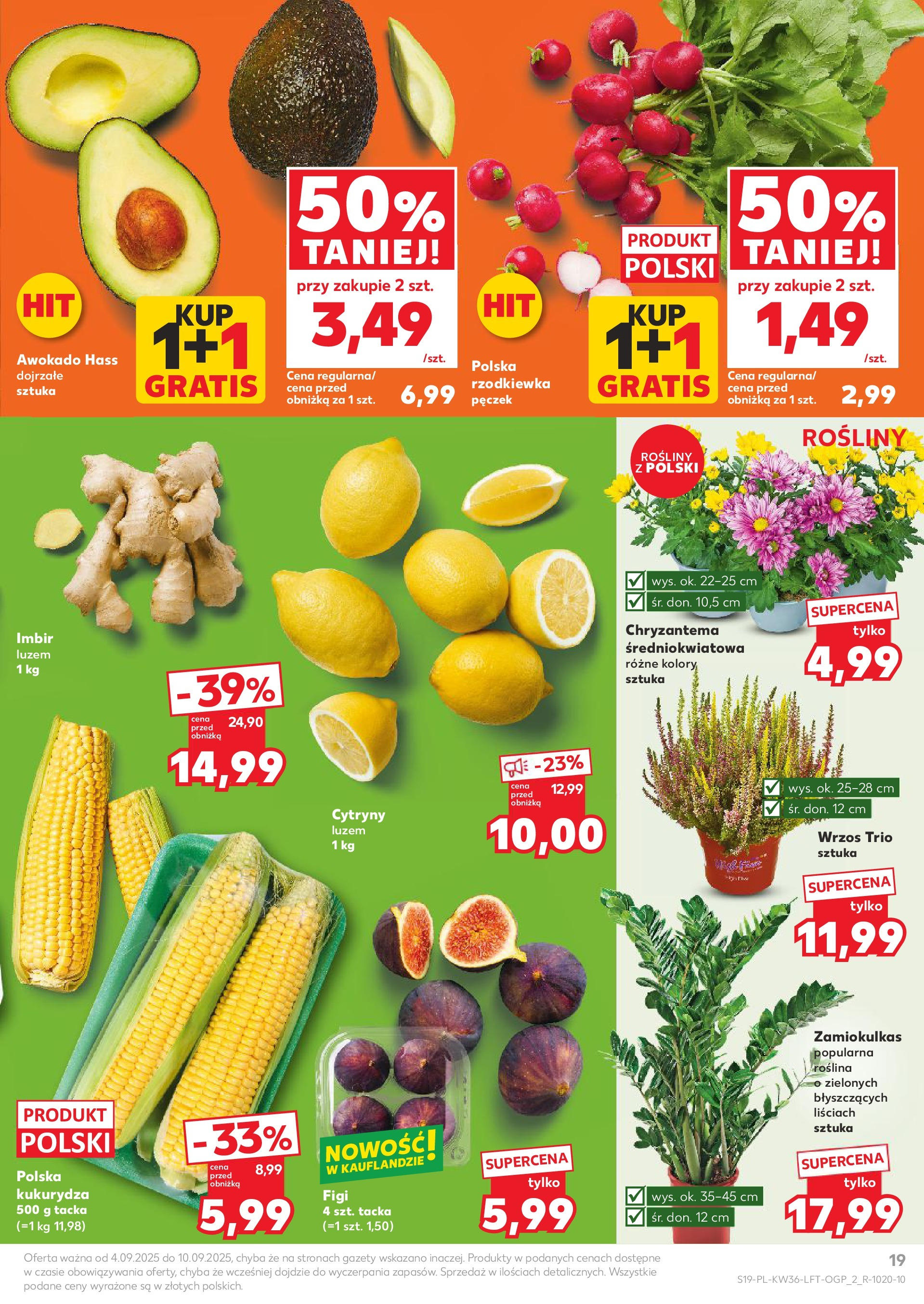 Kaufland gazetka (04.09.2025) - od jutra | Strona: 19 | Produkty: Imbir, Wrzos, Cytryny, Rosliny Kaufland gazetka od 04.09.2025 - od jutra PDF | Strona: 19 | Produkty: Imbir, Wrzos, Cytryny, Rosliny