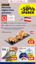 HOFER HOFER: Flugblatt - ab 05.09.2025