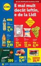 Catalog Lidl până în data de 14.09.2025