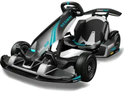 Ninebot by Segway GoKart pro 2