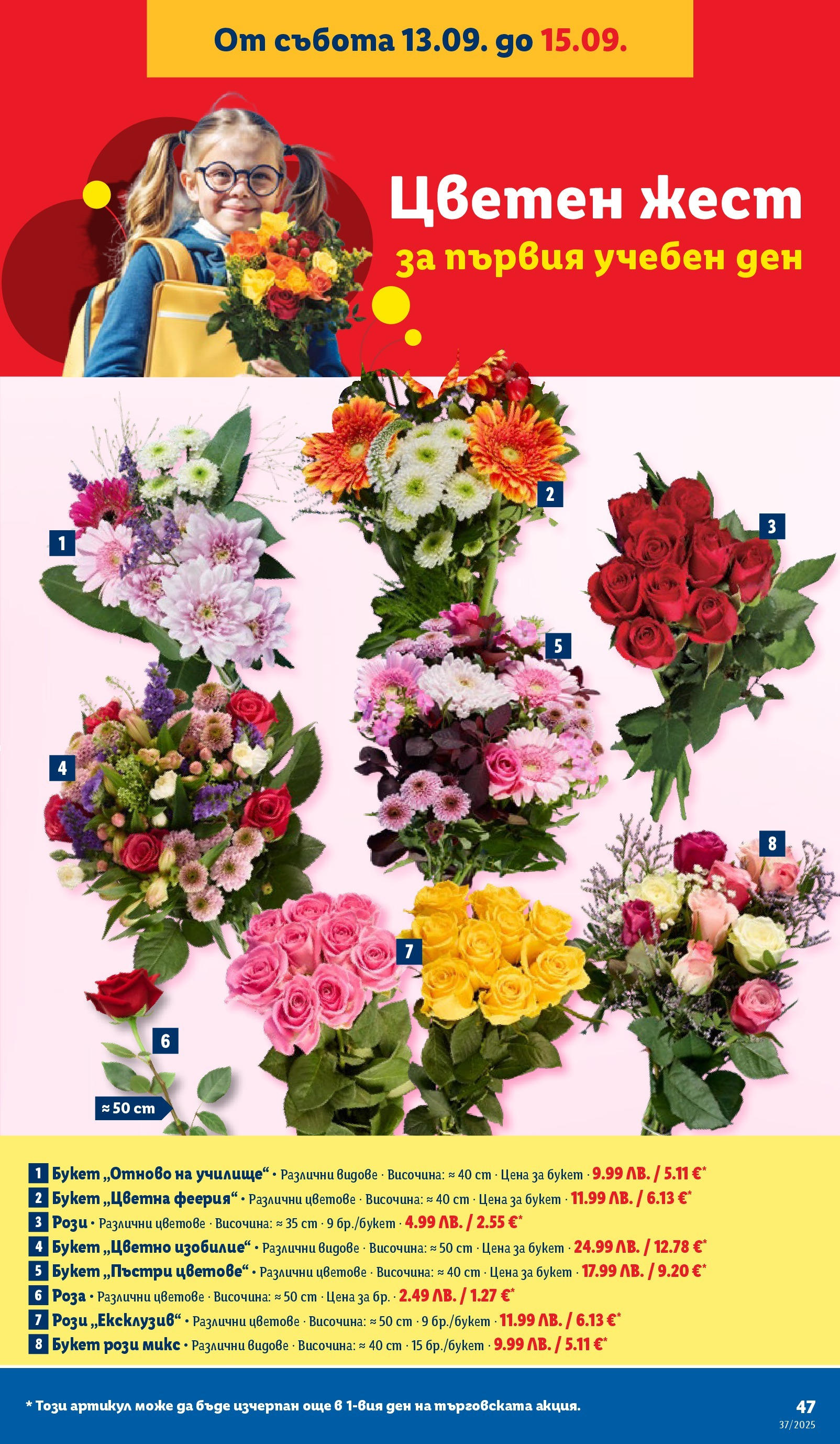 Cедмична брошура на Лидл от 08.09.2025 | Страница: 47 | Продукти: Роза Cедмична брошура на Лидл от 08.09.2025 | Страница: 47 | Продукти: Роза