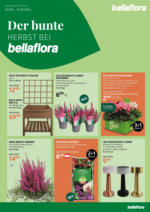 bellaflora Innsbruck Bellaflora: Flugblatt - bis 13.09.2025