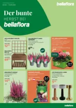 Bellaflora: Flugblatt