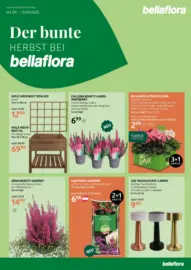 Bellaflora: Flugblatt