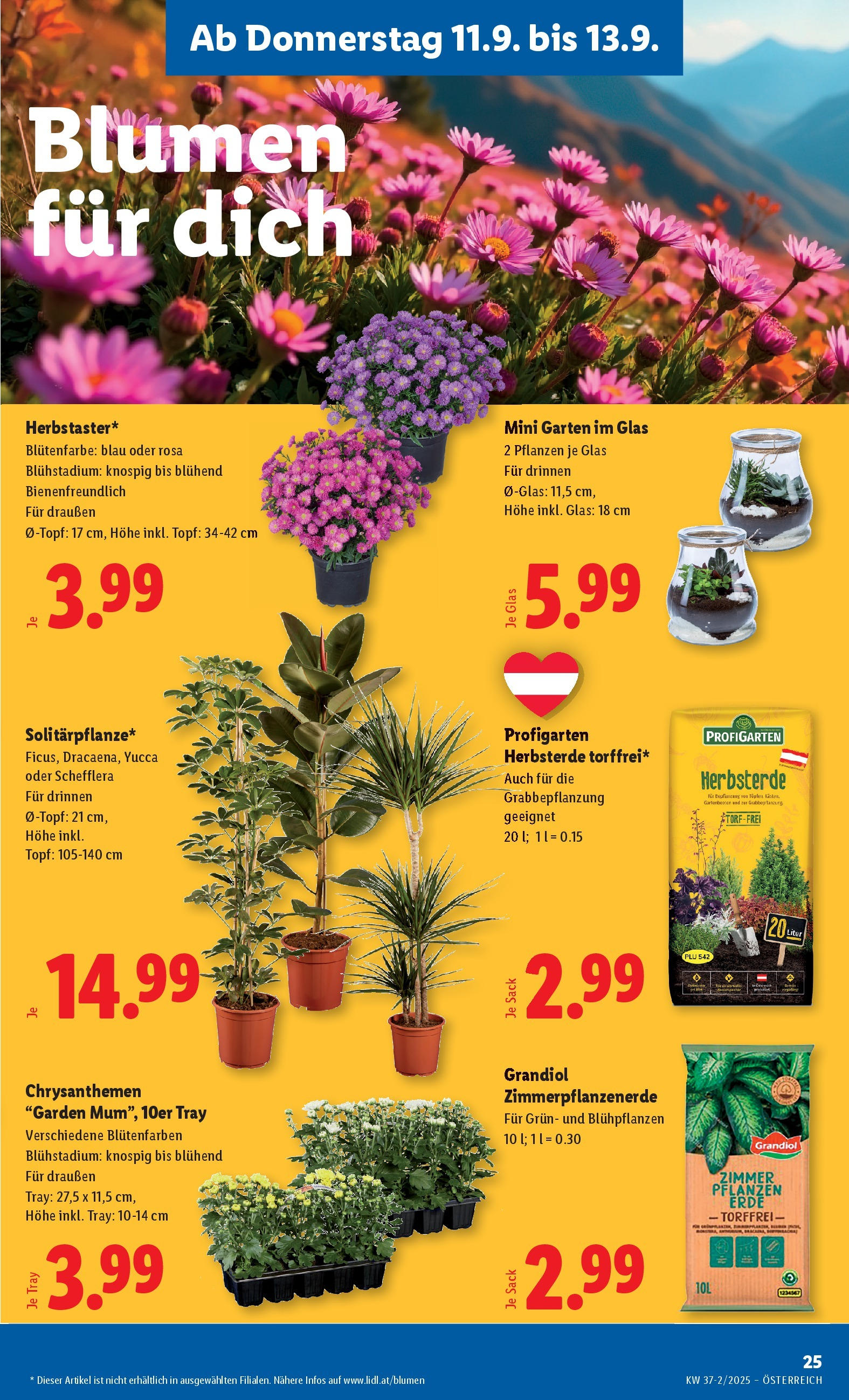 Lidl Flugblatt - Fohnsdorf, Neunkirchen, Graz ab 11.09.2025 - Angebote ab donnerstag | Seite: 27