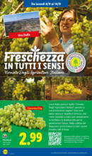 Offerte LIDL
