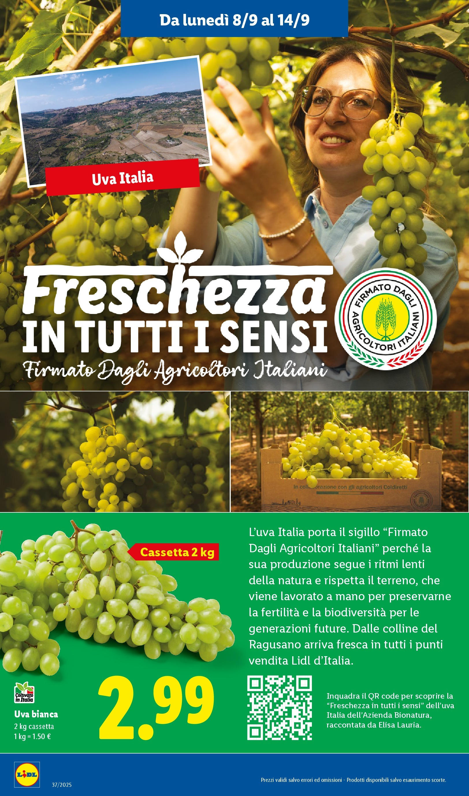 LIDL nuovo volantino dal 07/09/2025 - in anteprima⏳ | Pagina: 2 | Prodotti: Uva LIDL volantino della prossima settimana dal 07/09/2025 📣 | Pagina: 2 | Prodotti: Uva