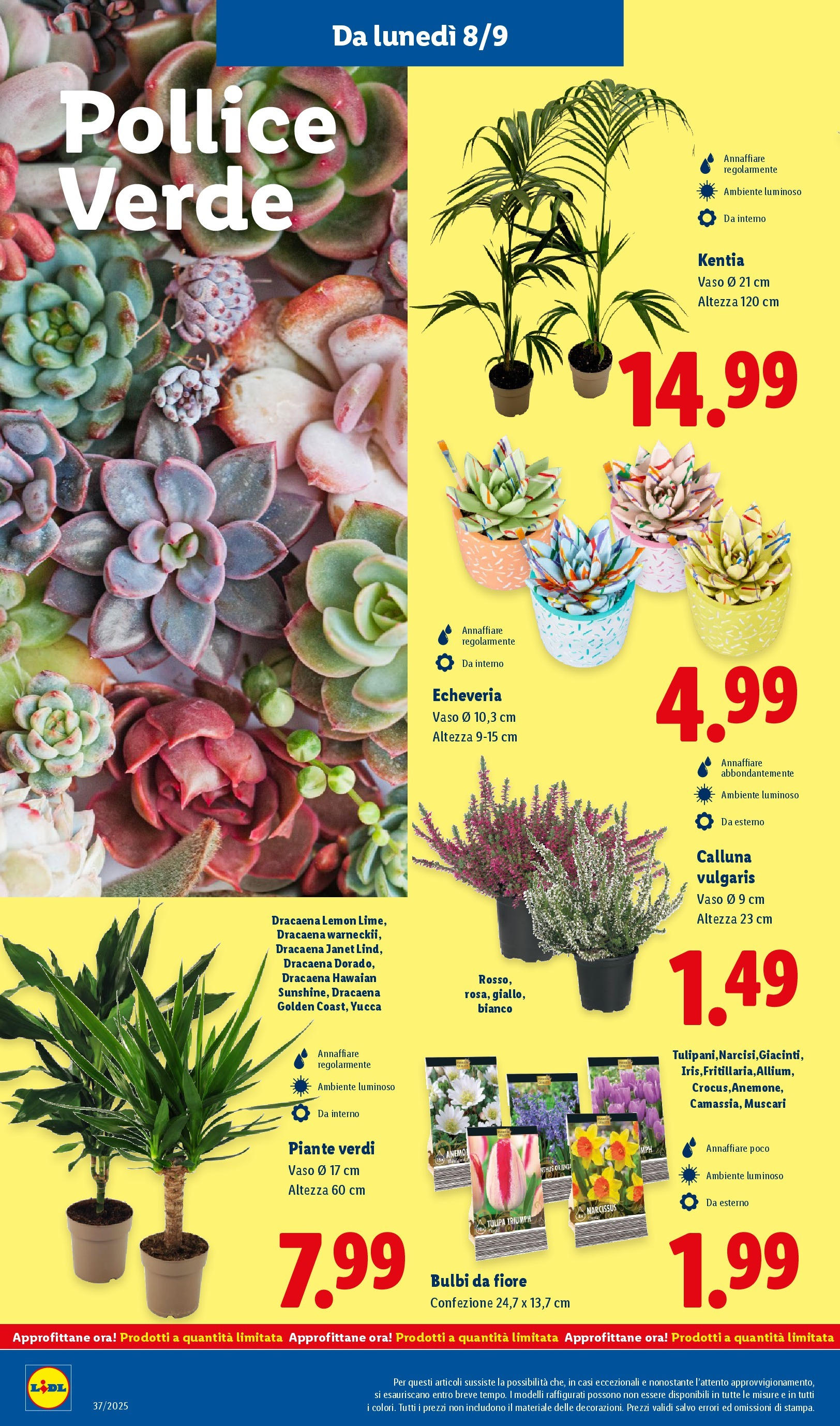 LIDL nuovo volantino dal 07/09/2025 - in anteprima⏳ | Pagina: 28 | Prodotti: Vaso LIDL volantino della prossima settimana dal 07/09/2025 📣 | Pagina: 28 | Prodotti: Vaso